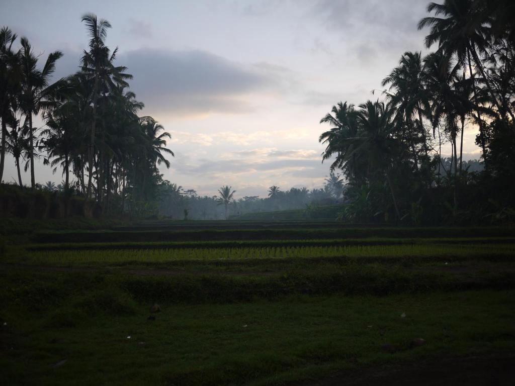 Villa Ibu Rama Ubud Denpasar Exterior foto